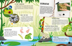 Что? Как? Почему? Мои первые знания про животных - Фото 7