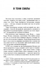 В тени скалы. Менеджеры халифата - Фото 2