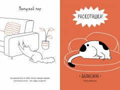 Кот всему голова. Кошачьи мудрости для жизни без стресса - Фото 4