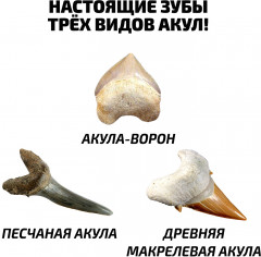 Набор игровой «Древняя акула» - Фото 2