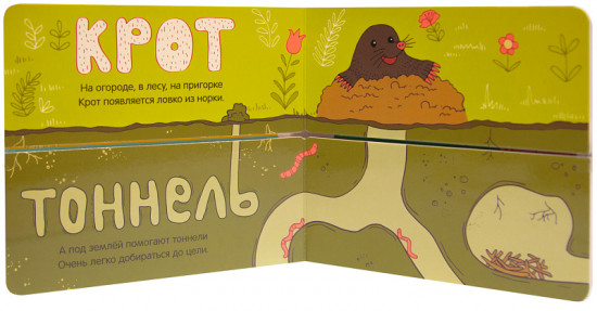 Где чей домик?