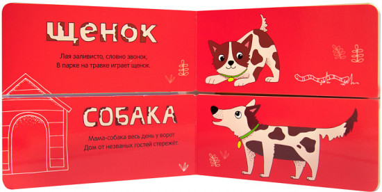 Мамы и детки