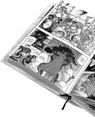 Берсерк. Том 2-3. Комплект из 2 книг - Фото 1