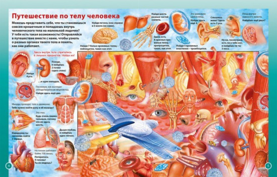 О теле человека для мальчиков и девочек