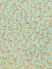 Мыльница - Фото 2