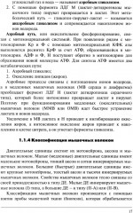 Физическая подготовка единоборцев - Фото 10