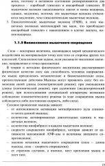Физическая подготовка единоборцев - Фото 12