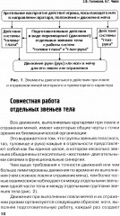 Футбол. Теоретические основы тренировки ловли и отражения мячей вратарями - Фото 7