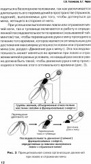 Футбол. Теоретические основы тренировки ловли и отражения мячей вратарями - Фото 9