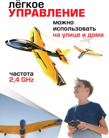Самолет на радиоуправлении «Шершень Эво»