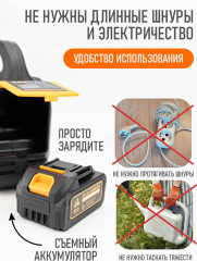 Насос аккумуляторный для полива - Фото 1