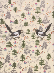 Болтали две сороки. Русские народные сказки, песенки, потешки - Фото 1