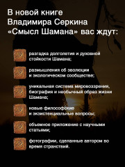 Смысл Шамана - Фото 4