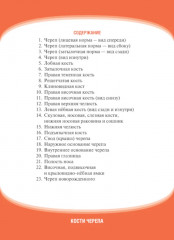 Анатомия человека. Кости черепа. 23 карточки - Фото 1