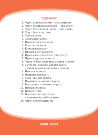 Анатомия человека. Кости черепа. 23 карточки