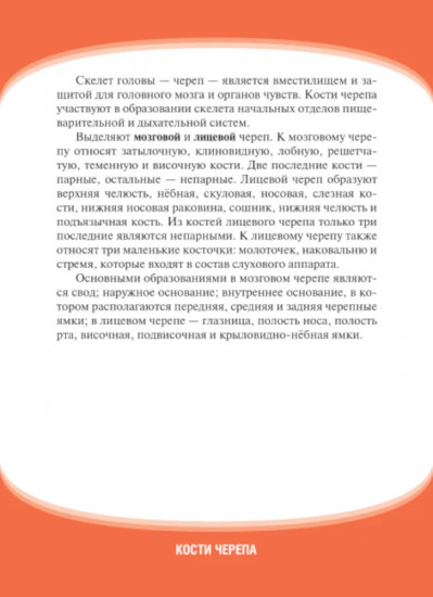 Анатомия человека. Кости черепа. 23 карточки