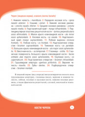 Анатомия человека. Кости черепа. 23 карточки - Фото 4