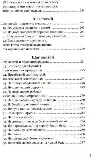 Путь есть цель. Воспитание ума и развитие заботливой доброжелательности