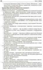 Фтизиатрия - Фото 10