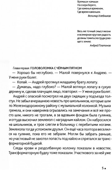 Горит камыш