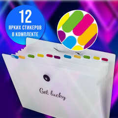 Папка-органайзер «Glassy» - Фото 11