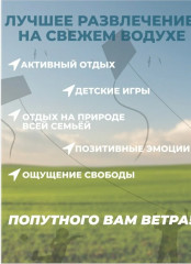 Змей воздушный «Тигр» - Фото 4