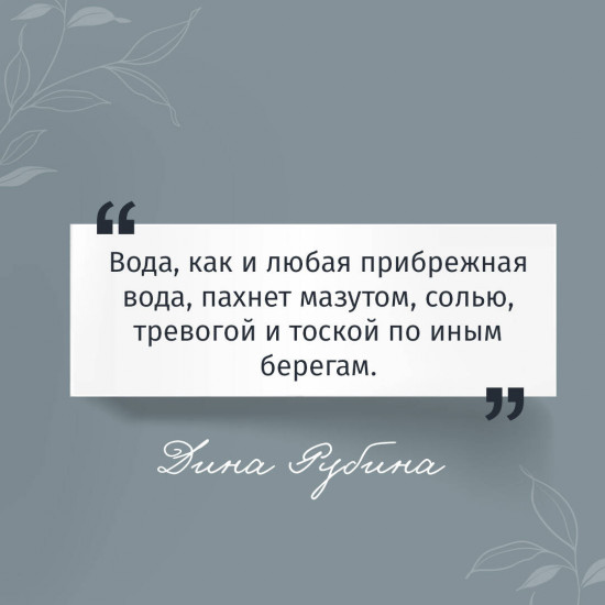 Почерк Леонардо. Бабий ветер. Липовая жена. Комплект из 3 книг