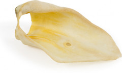 Ухо говяжье (1 шт.) - Фото 1