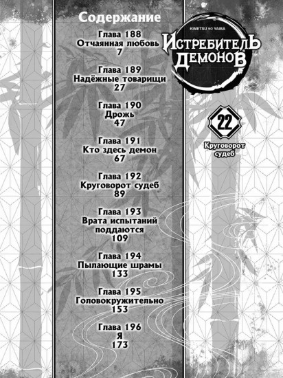Истребитель демонов. Том 22. Круговорот судеб