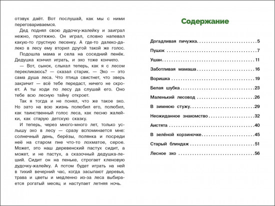 Пушок