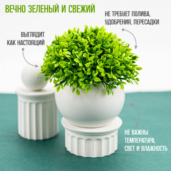 Растение искусственное