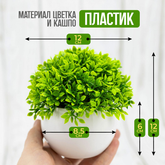 Растение искусственное