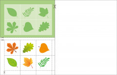 Аппликации. Подбери по тени 2+ - Фото 2