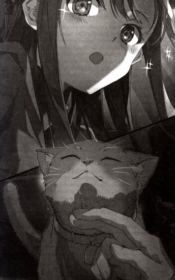 Sword Art Online. Том 27. Unital Ring VI