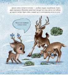 Финляндия. Страна тысячи озёр - Фото 2