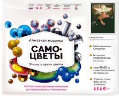 Алмазная мозаика с нанесенной рамкой «Визит дамы» - Фото 1