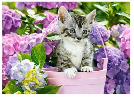 Пазл «Котенок в корзине»