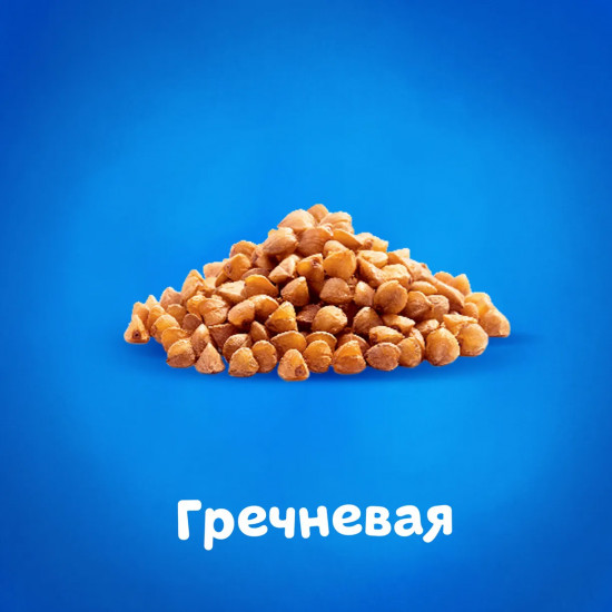 Каша молочная гречневая «Засыпай-ка»