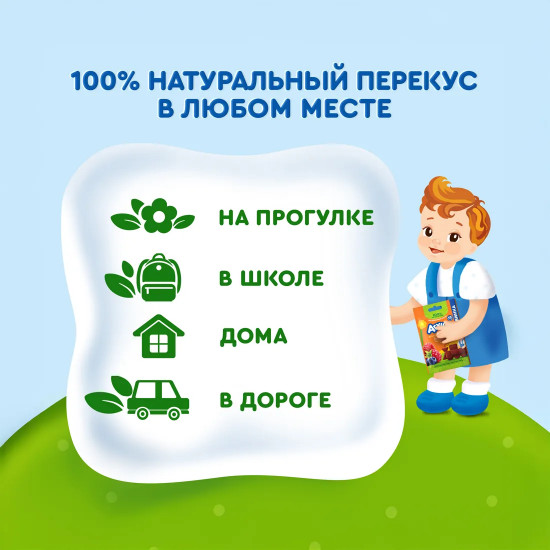 Пастилки фруктовые «Яблоко-черника-малина»