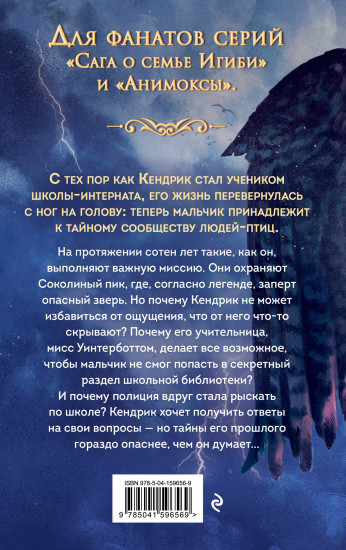 Соколиный пик. Око бури