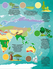 Мир животных в картинках - Фото 2