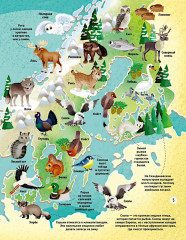 Мир животных в картинках - Фото 4