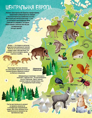 Мир животных в картинках - Фото 5