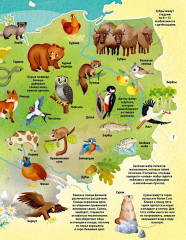 Мир животных в картинках - Фото 6