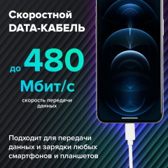 Кабель USB 2.0-Lightning - Фото 3