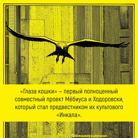 Глаза кошки