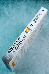 Аватар короля. Тонкости мастерства. Книга 4 - Фото 4