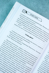 Аватар короля. Тонкости мастерства. Книга 4 - Фото 7