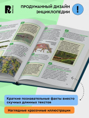 Микромир. Энциклопедия российского школьника - Фото 2