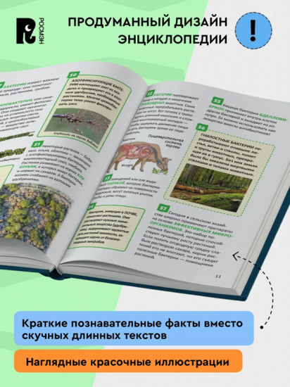 Микромир. Энциклопедия российского школьника